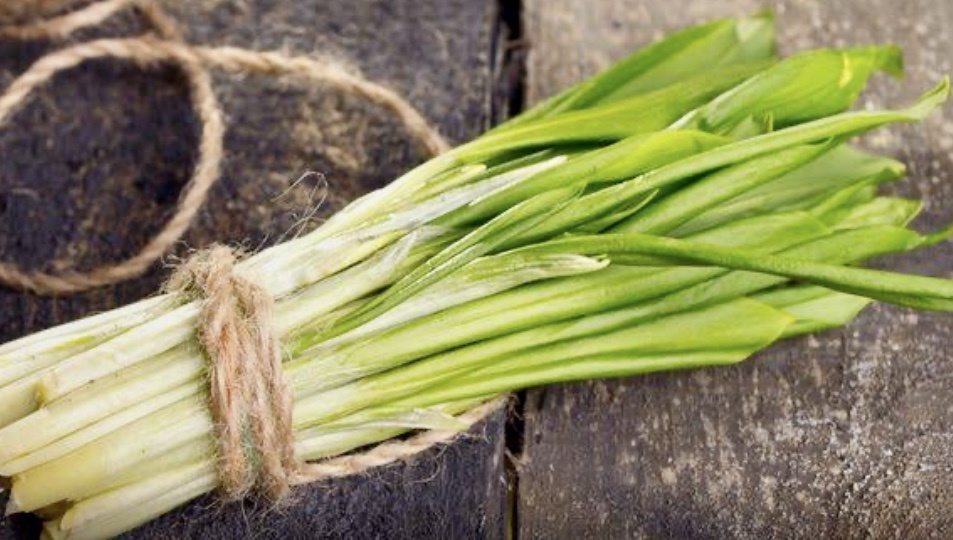 Хьонк - ни лук ни чеснок, а черемша!