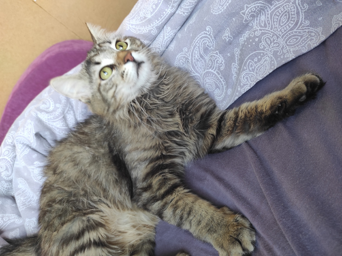 Бабулечка красотулечка встала, пора бежать