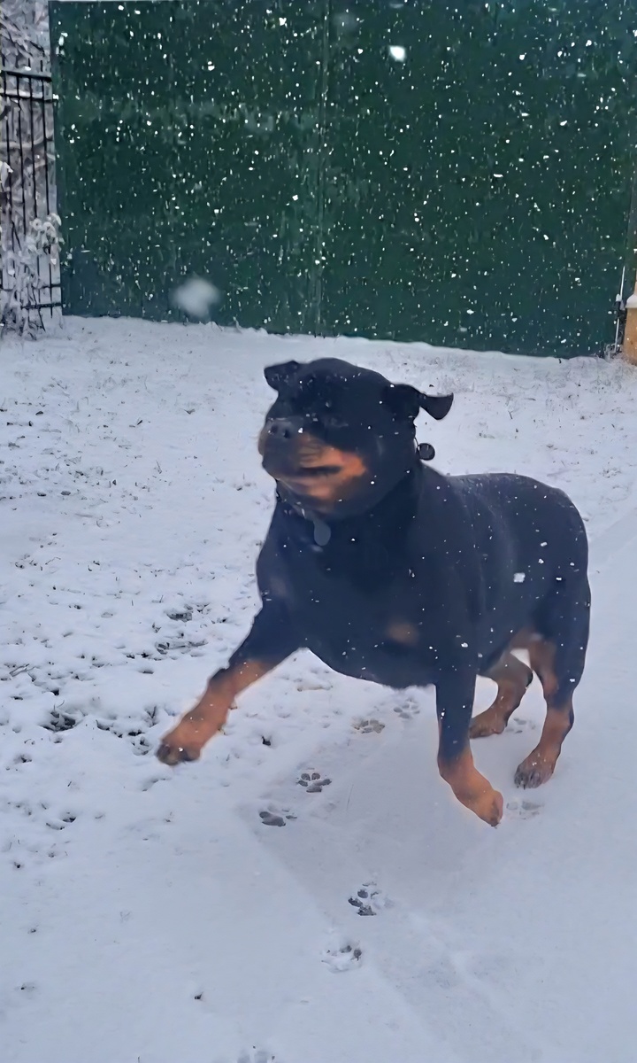 У нас снег идёт.