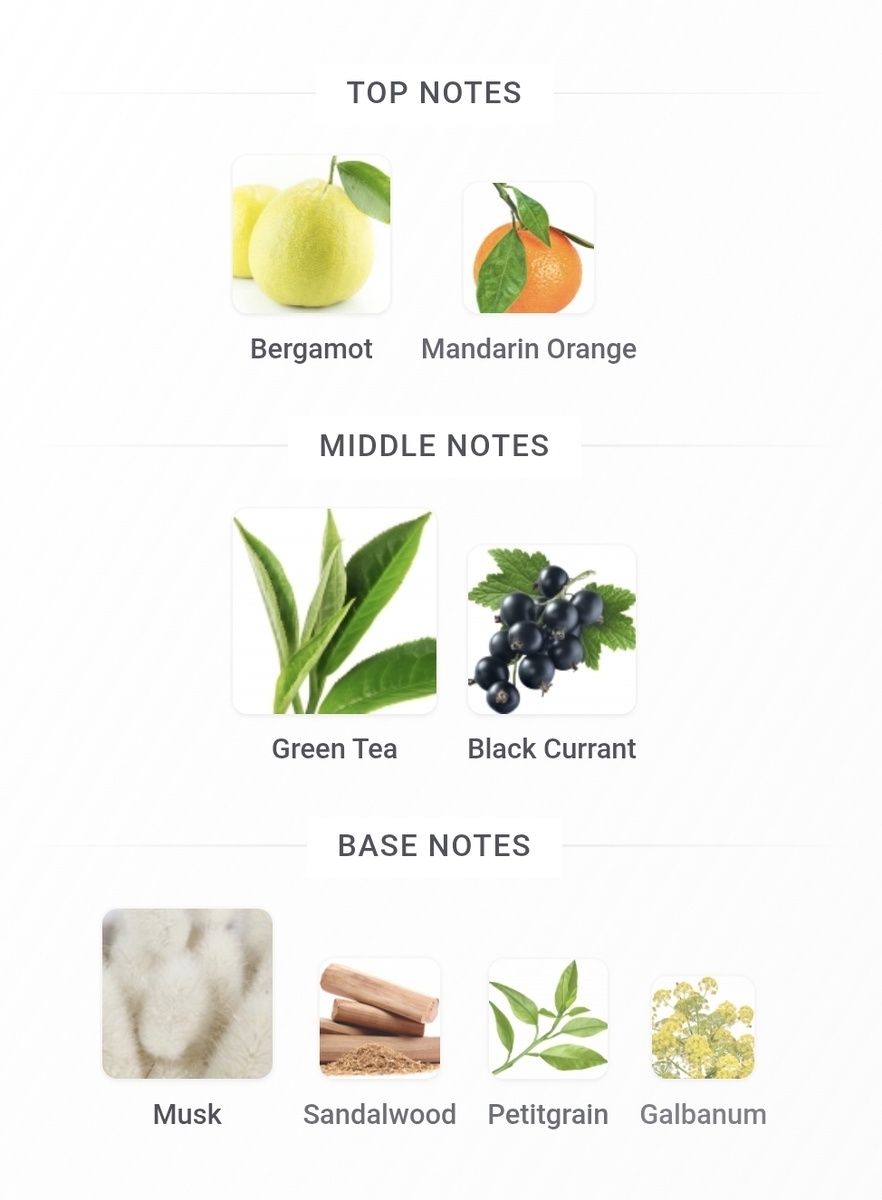 Всё очень приятное!