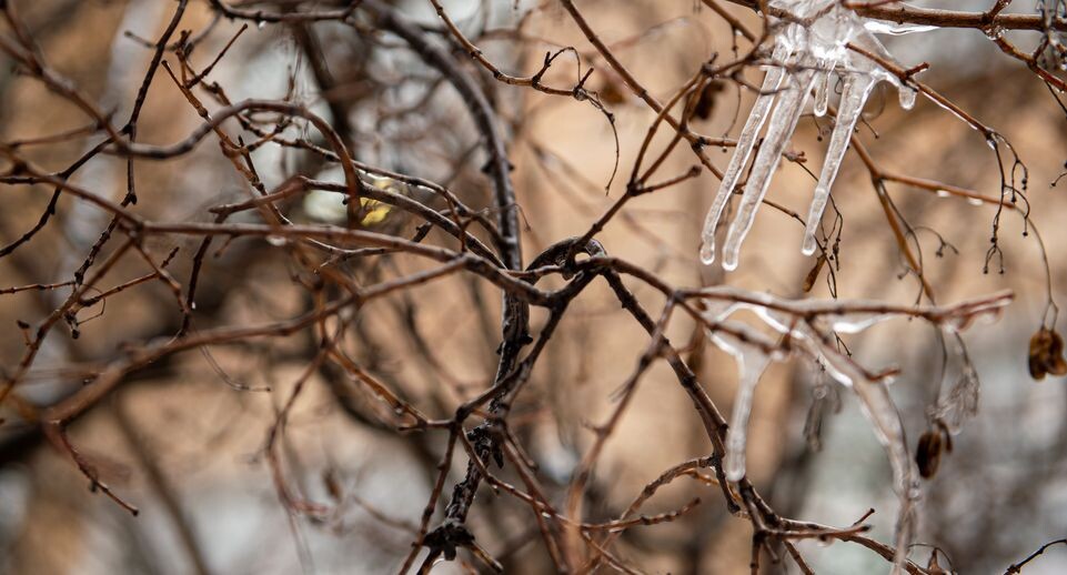    Медиасток.рф