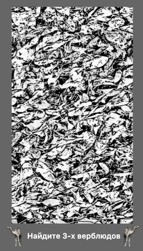 Тест на воображение 