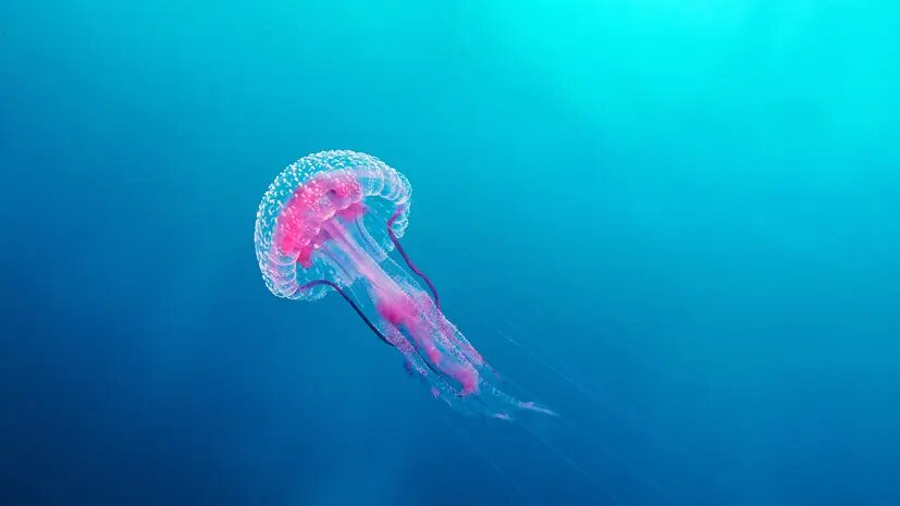    Фото: russian.rt.com Евгений Иванов