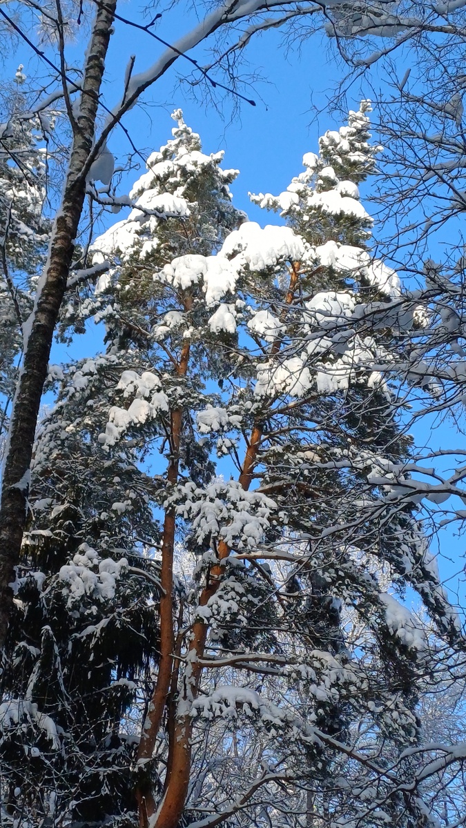 Фото Татьяны Федотовой.