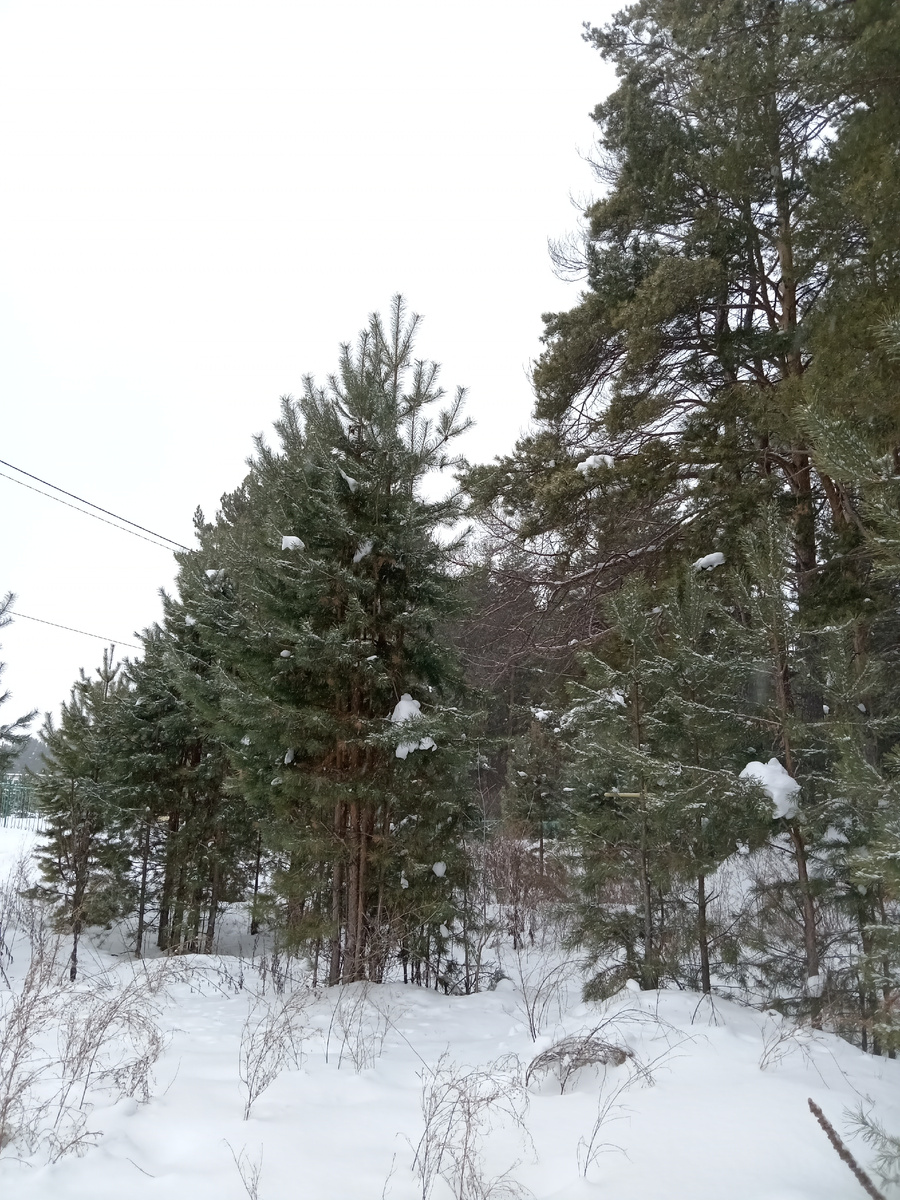 Фото из личного архива автора 