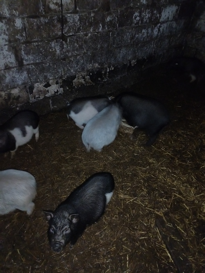 Листайте вправо, чтобы увидеть больше изображений