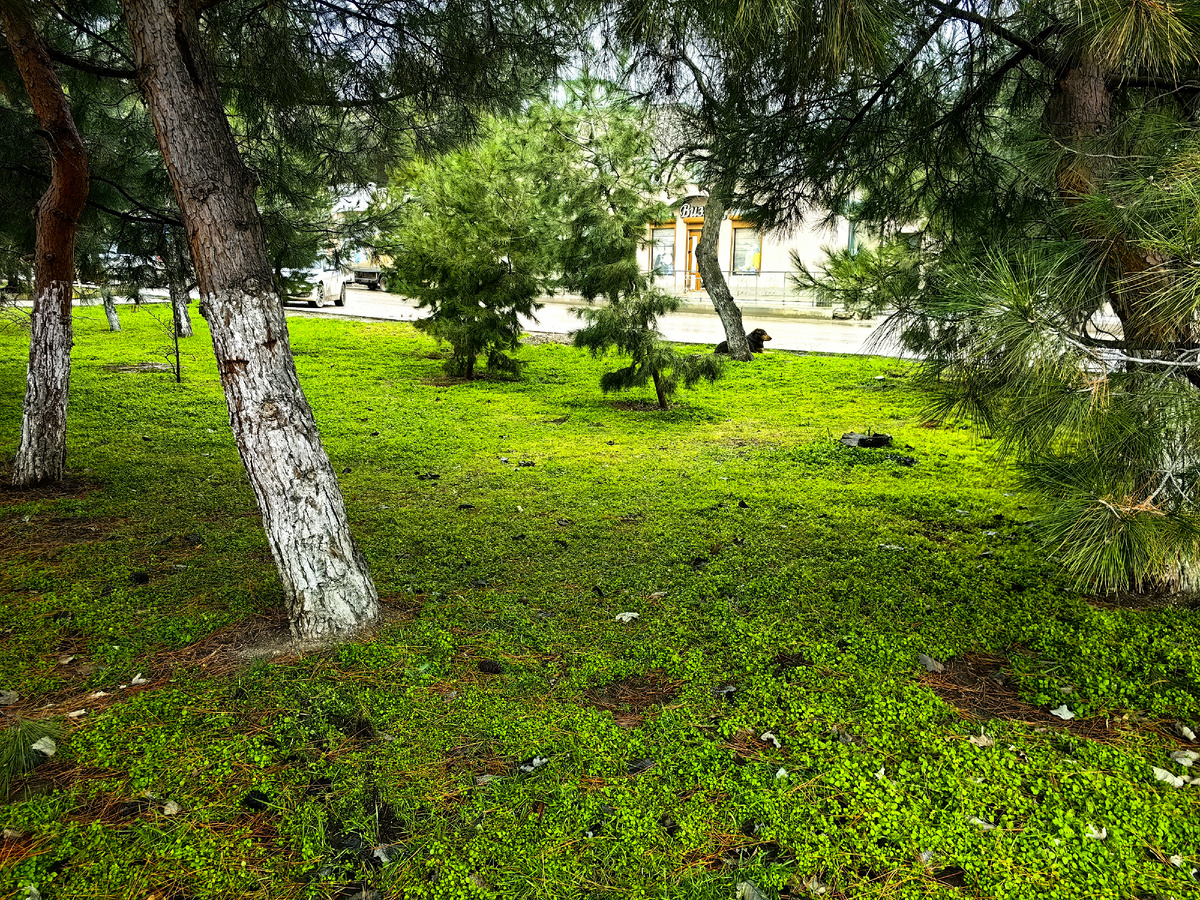 Сегодня. Фото автора канала