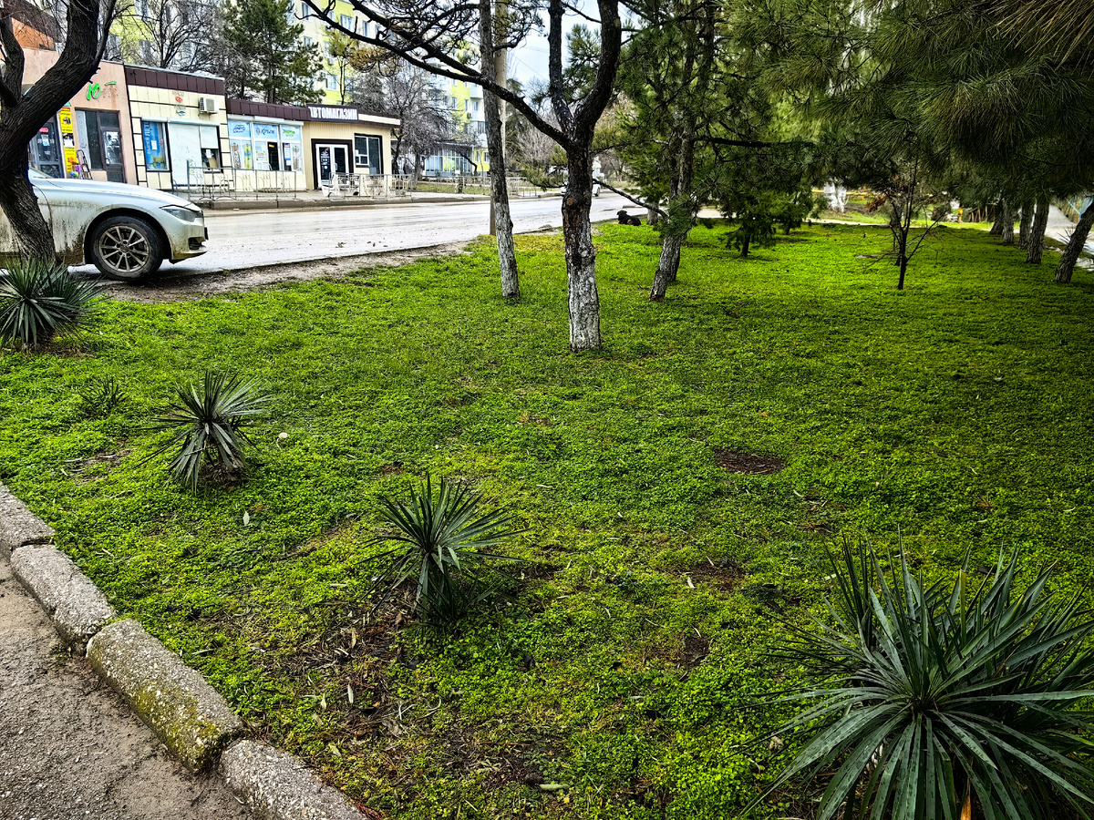 Сегодня. Фото автора канала