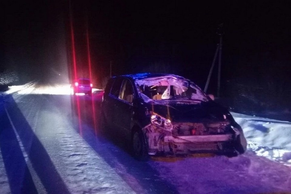    Госавтоинспекция призывает соблюдать скоростной режим на загородных трассах. Фото: Госавтоинспекция Удмуртии