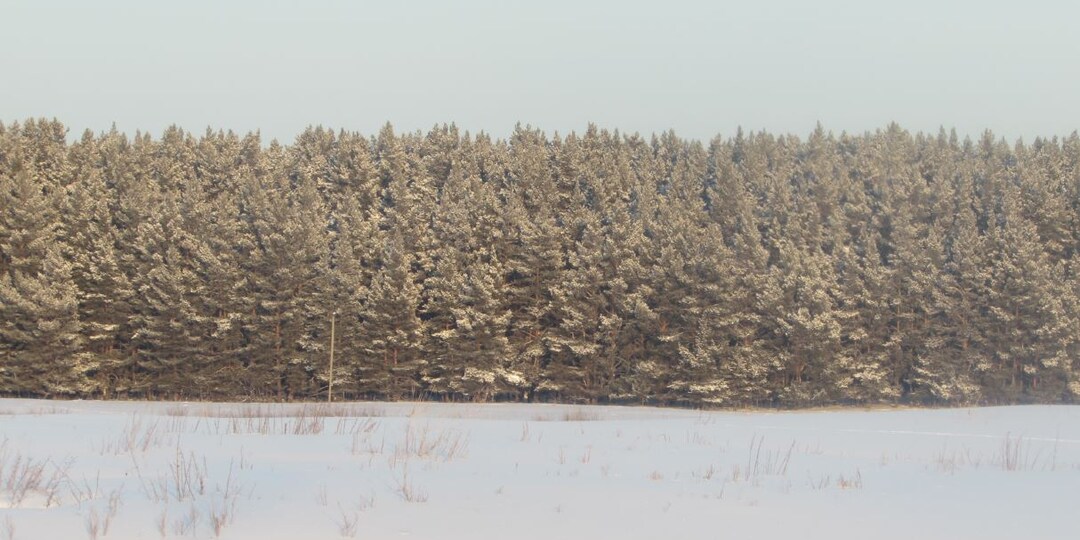 Переживаем холода и ждём потепления