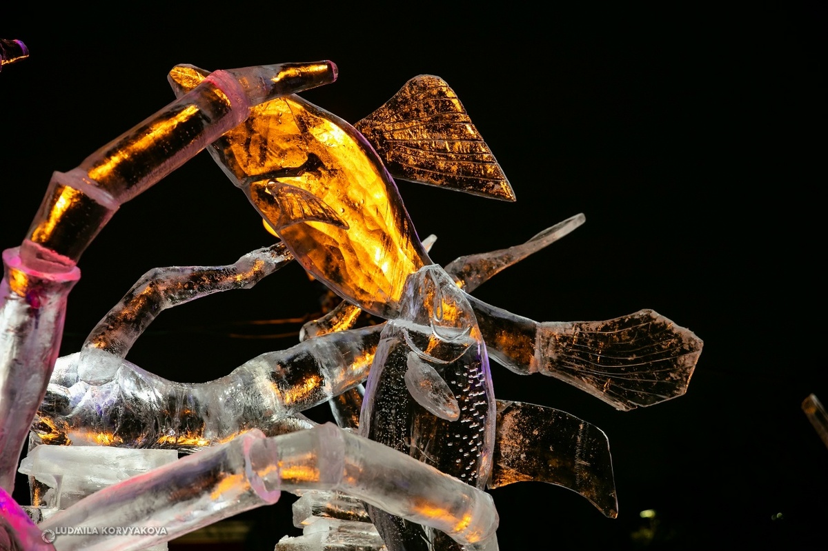    фото: © Людмила Корвякова