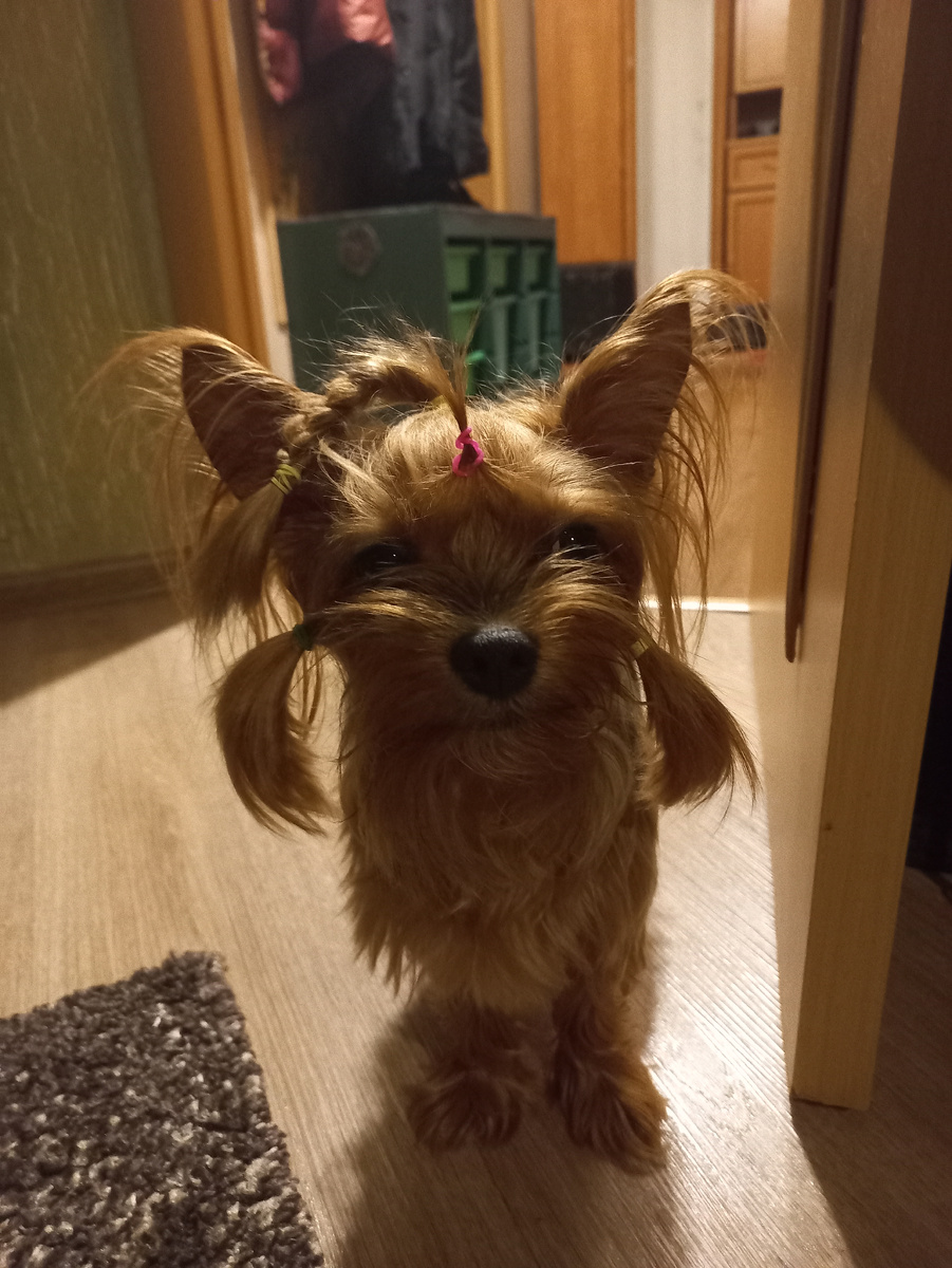 Королева красоты