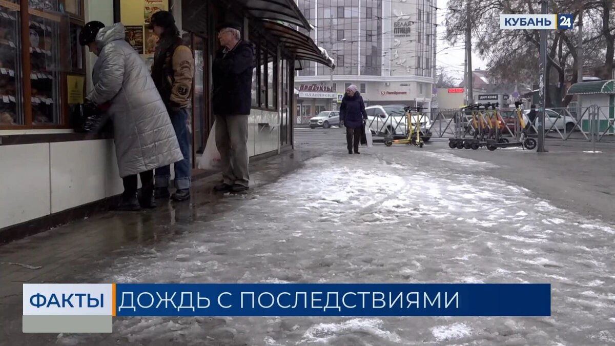    Скриншот видео телеканала «Кубань 24»