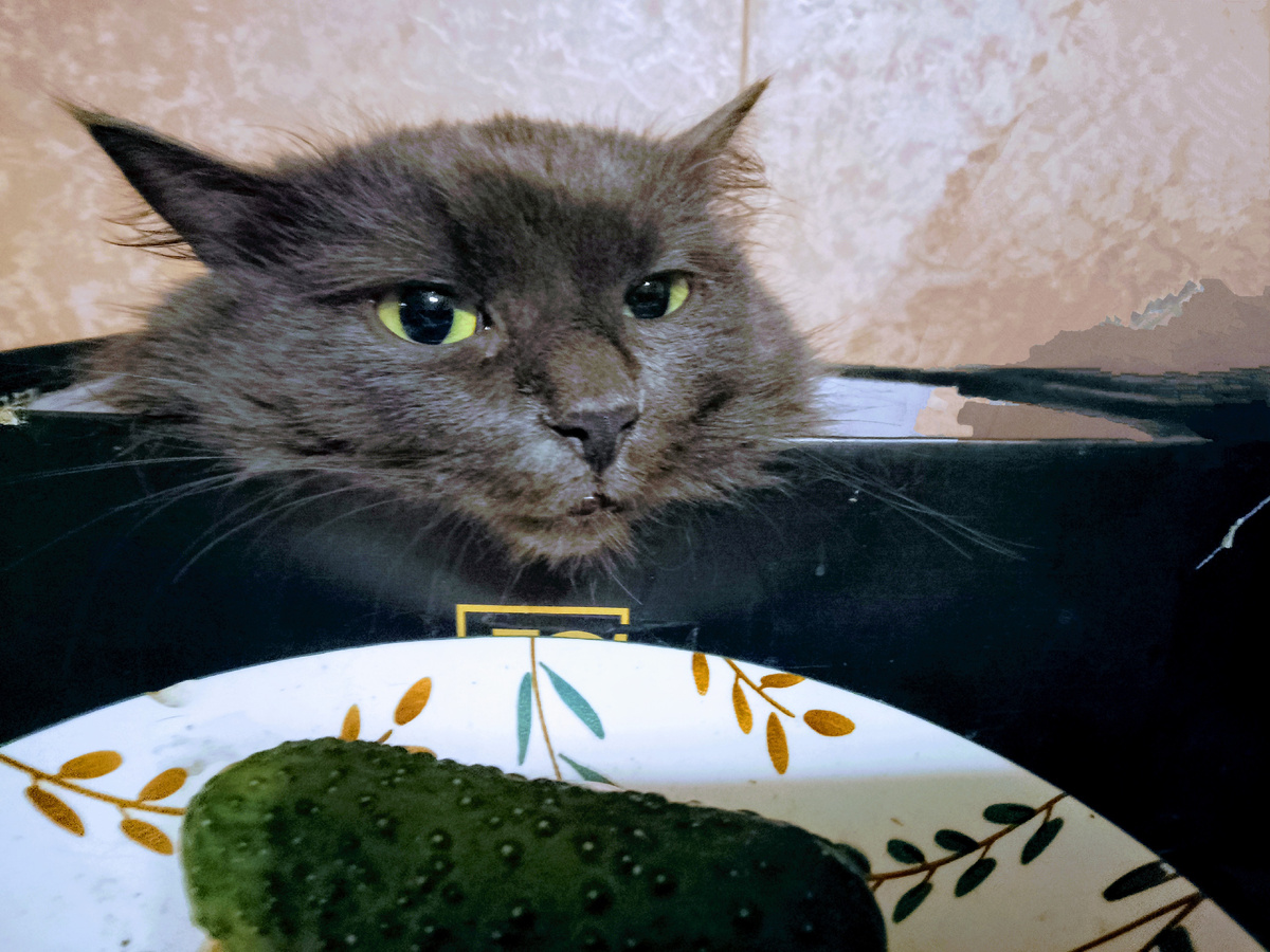 Варя просит подогреть огурчик