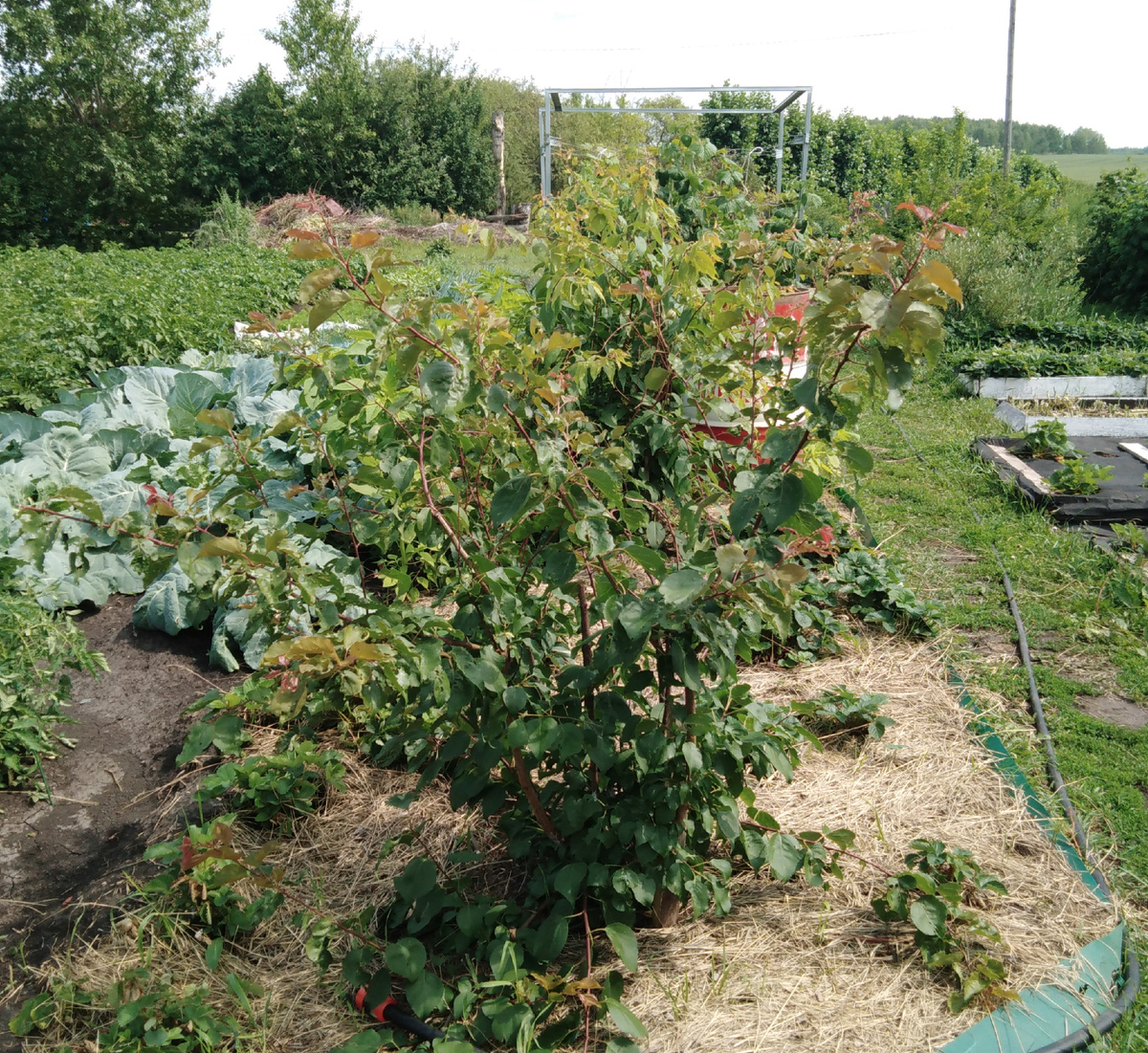 Фото автора.