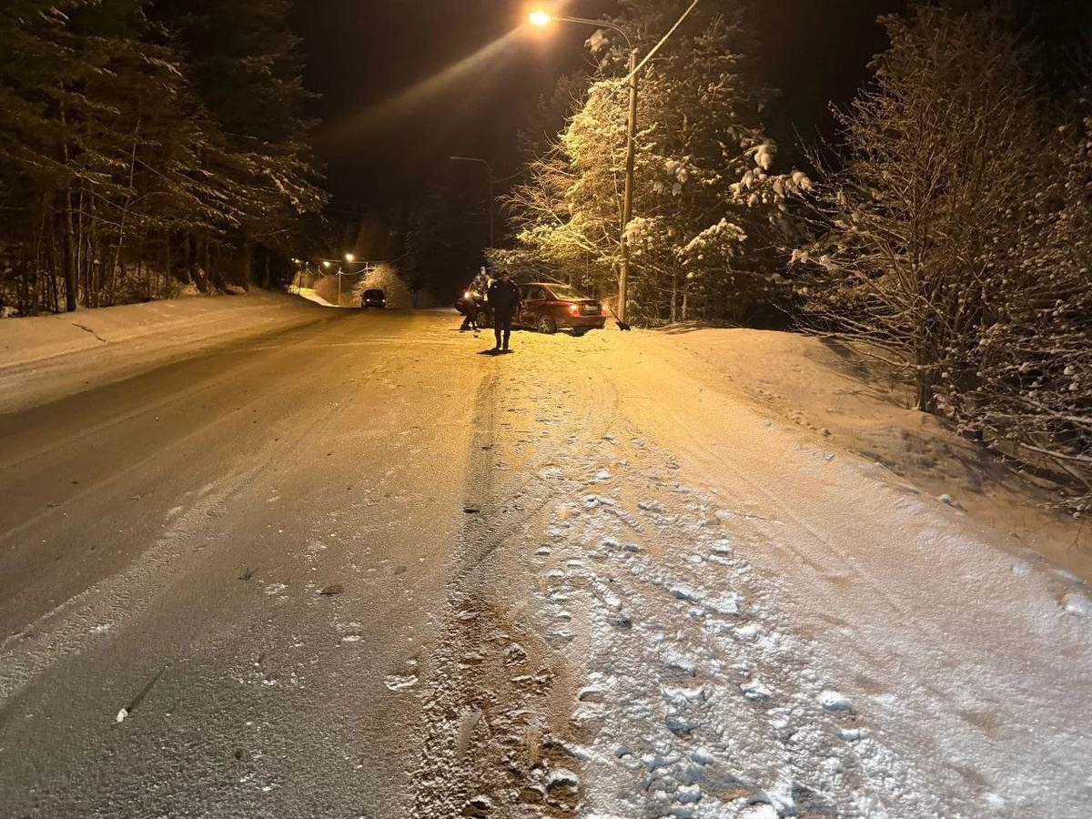    Фото: Госкомитет Карелии по безопасности / Telegram