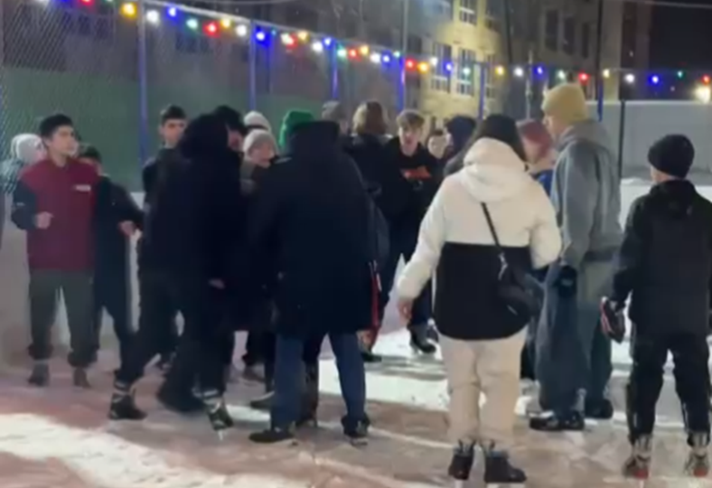 Терпение лопнуло: в Москве наши парни выкинули за борт катка детей иноземцев. Теперь их старшие грозятся подать в суд.