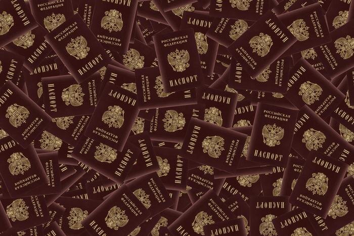 Обложка © Shutterstock / FOTODOM / Andrey Solovev