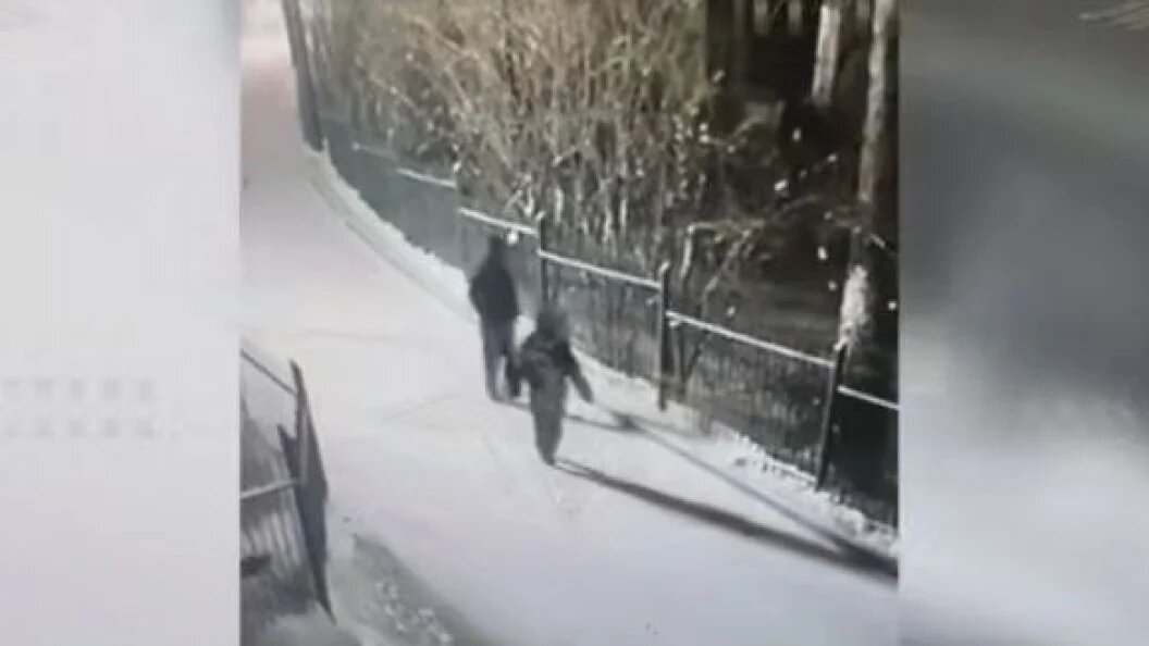    23 января бизнесмен из Красноярска получил сообщение о похищении сына. Скриншот t.me/IrinaVolk_MVD