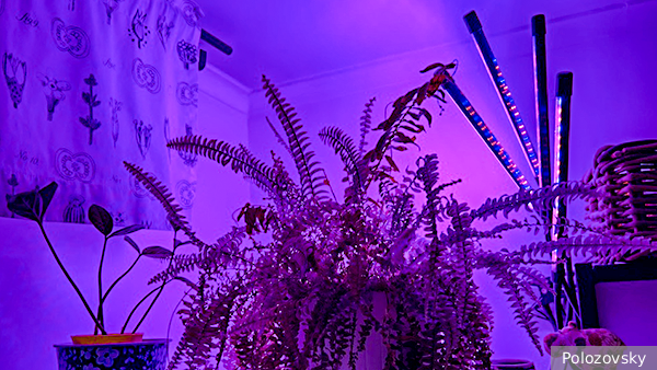     Фото: Polozovsky   
 Текст: Татьяна Косолапова