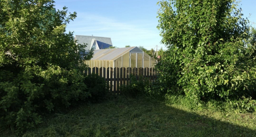    Первый городской канал Калининград