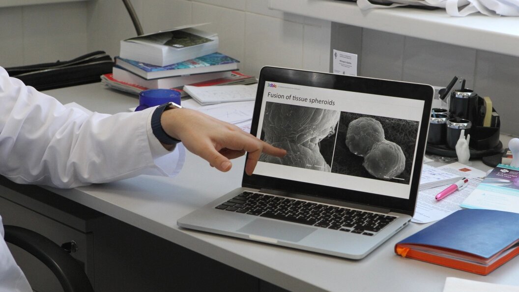    Фото: Телеканал Царьград