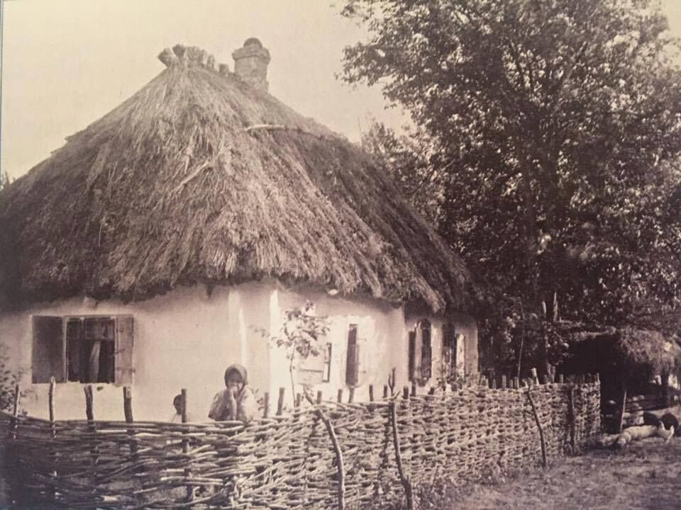 — (Картинка находится в Интернете в свободном доступе)