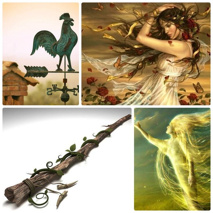 Символ: Роза ветров, петух