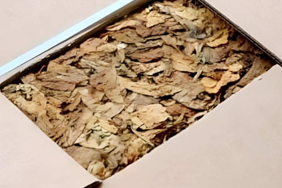    Крупную партию задержали в Петербурге. Фото: 178.fsvps.gov.ru