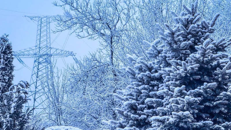      Фото: Россети Северный Кавказ