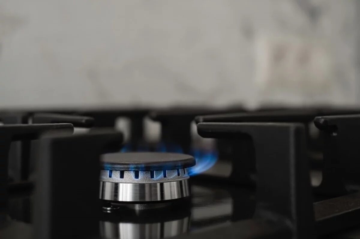    Жительнице КБР перекрыли газ из-за незаконного долга в 1,2 миллиона