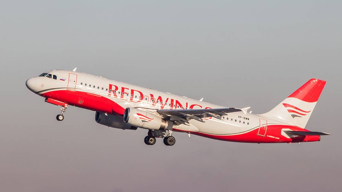    Фото: Shutterstock