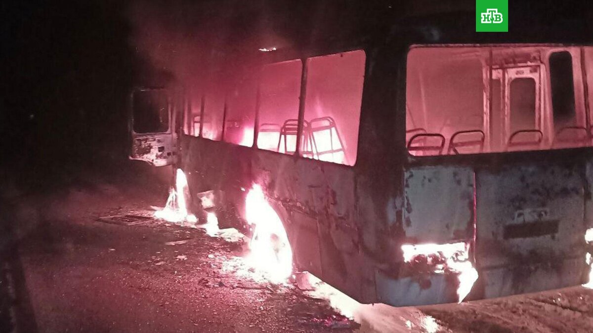    Фото: vvgladkov / t.me