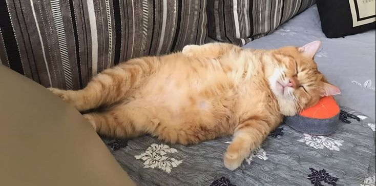 Источник изображения: сайт Pinterest