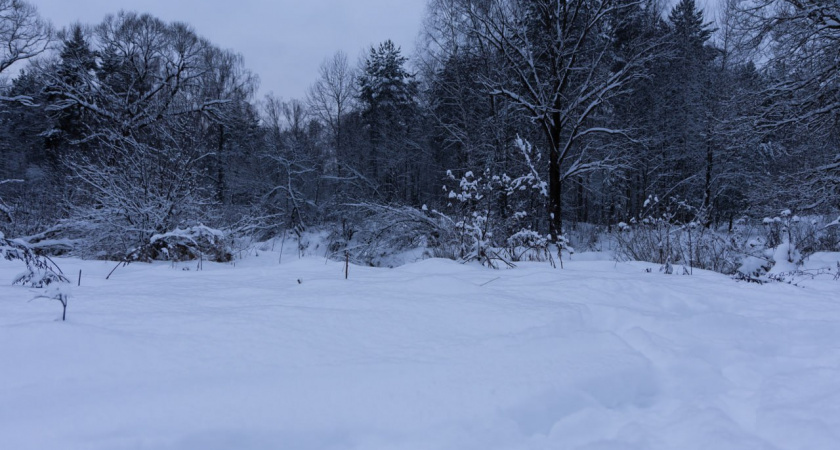    Первый городской канал Калининград