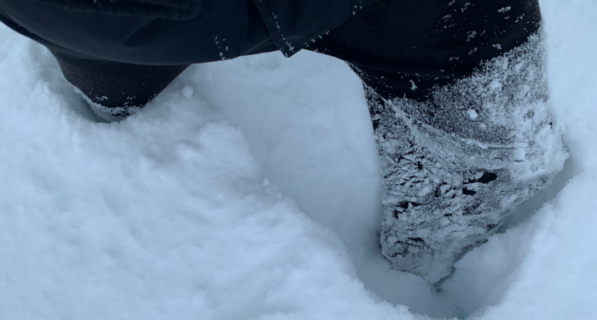    Автор фото — Илья Иваньшин