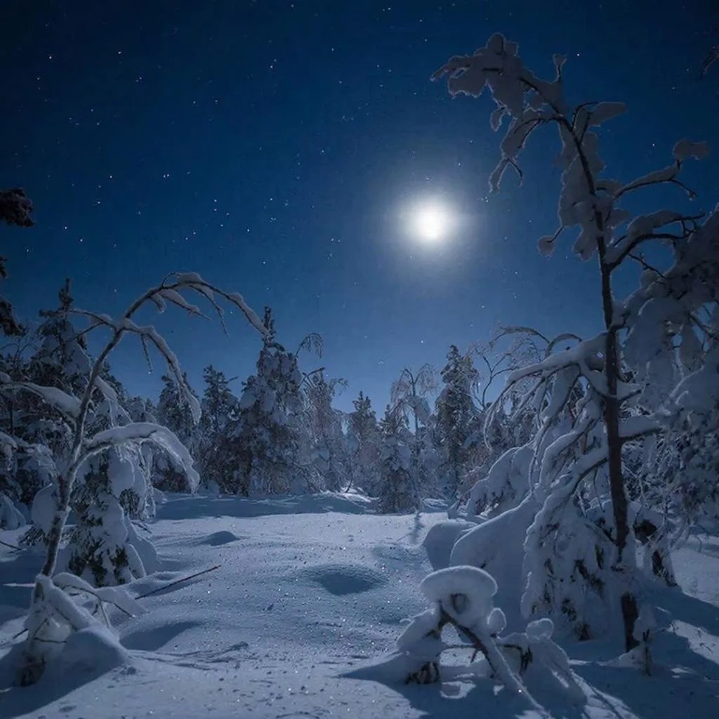 А вот так видит ИИ сегодняшнюю ночь