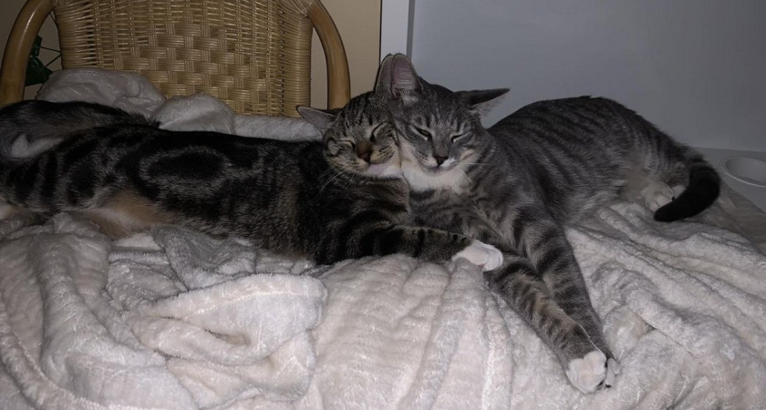    Фото Анастасии Дмитриевой