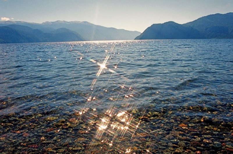 Пресс-служба Алтайского биосферного заповедника 