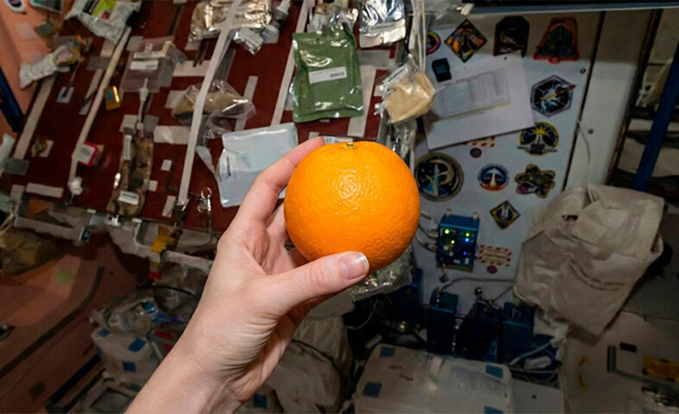 «Оранжевое» настроение на МКС. Фото: Роскосмос