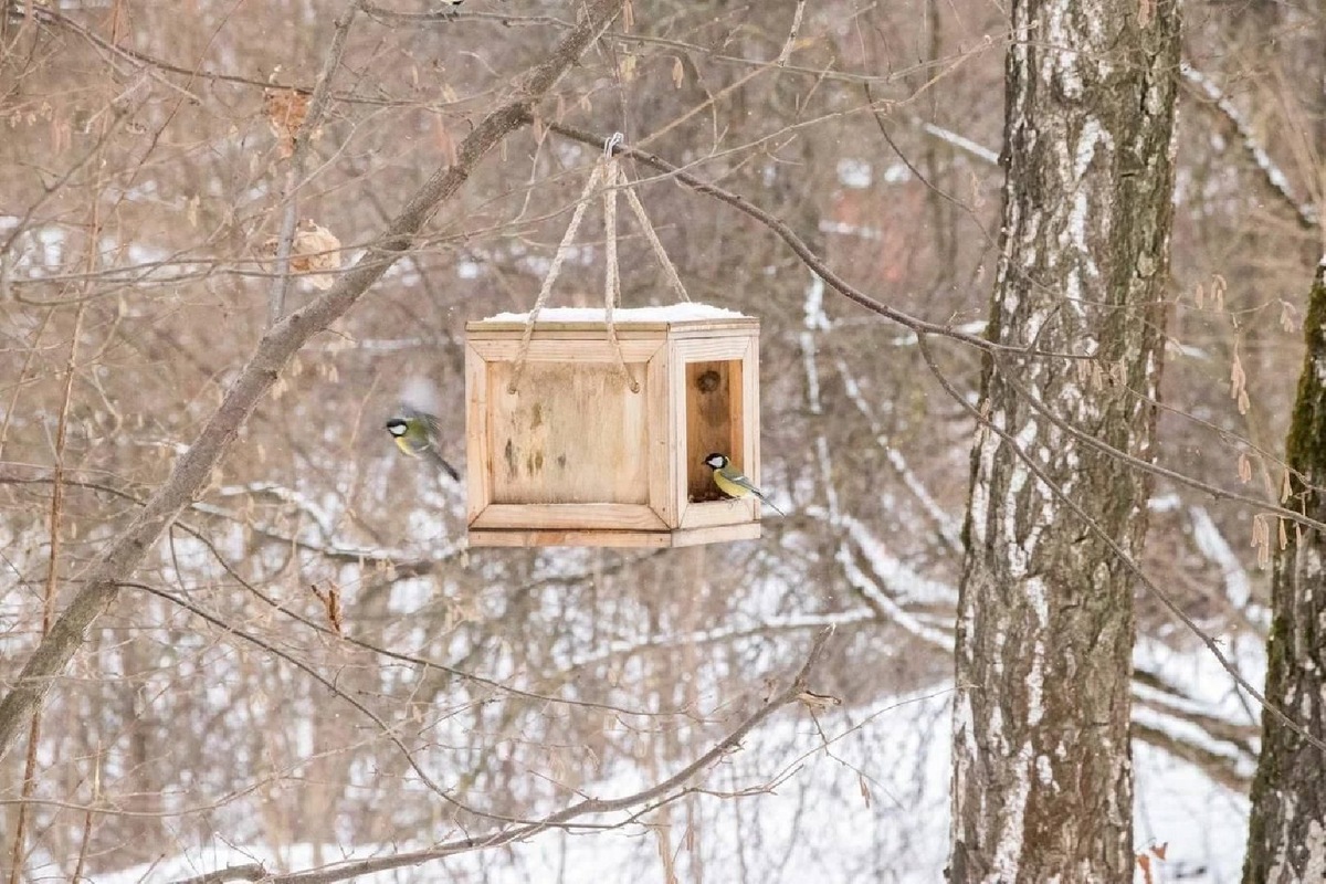    Фото: пресс-служба администрации г. о. Домодедово