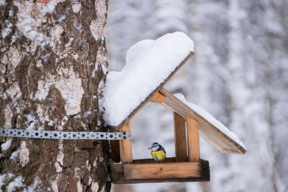    Фото: пресс-служба администрации г. о. Домодедово