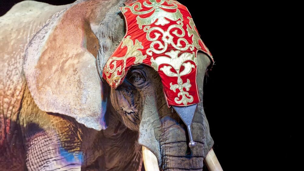    Фото: Andrea Izzotti/Shutterstock/Fotodom