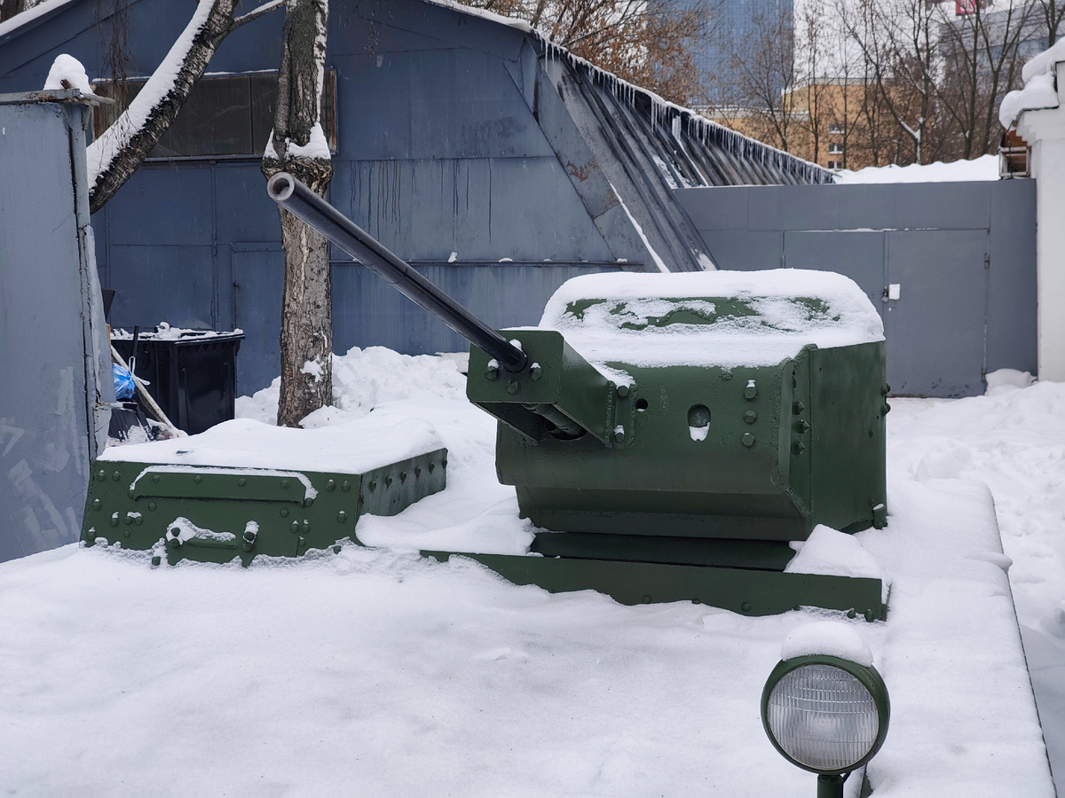 Пушка крупным планом