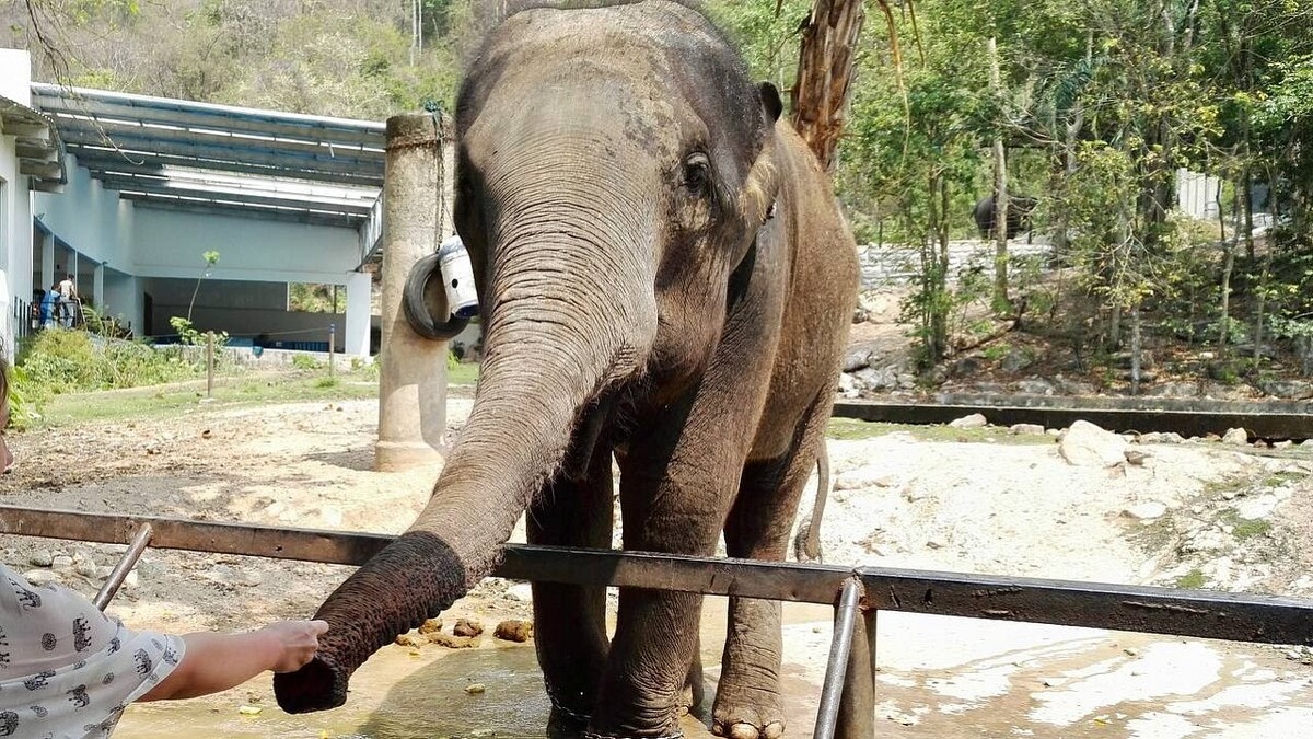    Фото: телеканал «Краснодар»