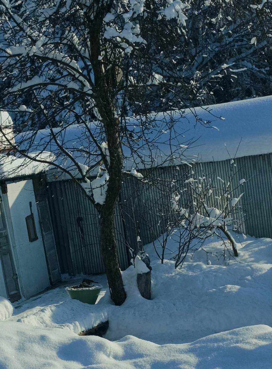 Фото автора статьи.