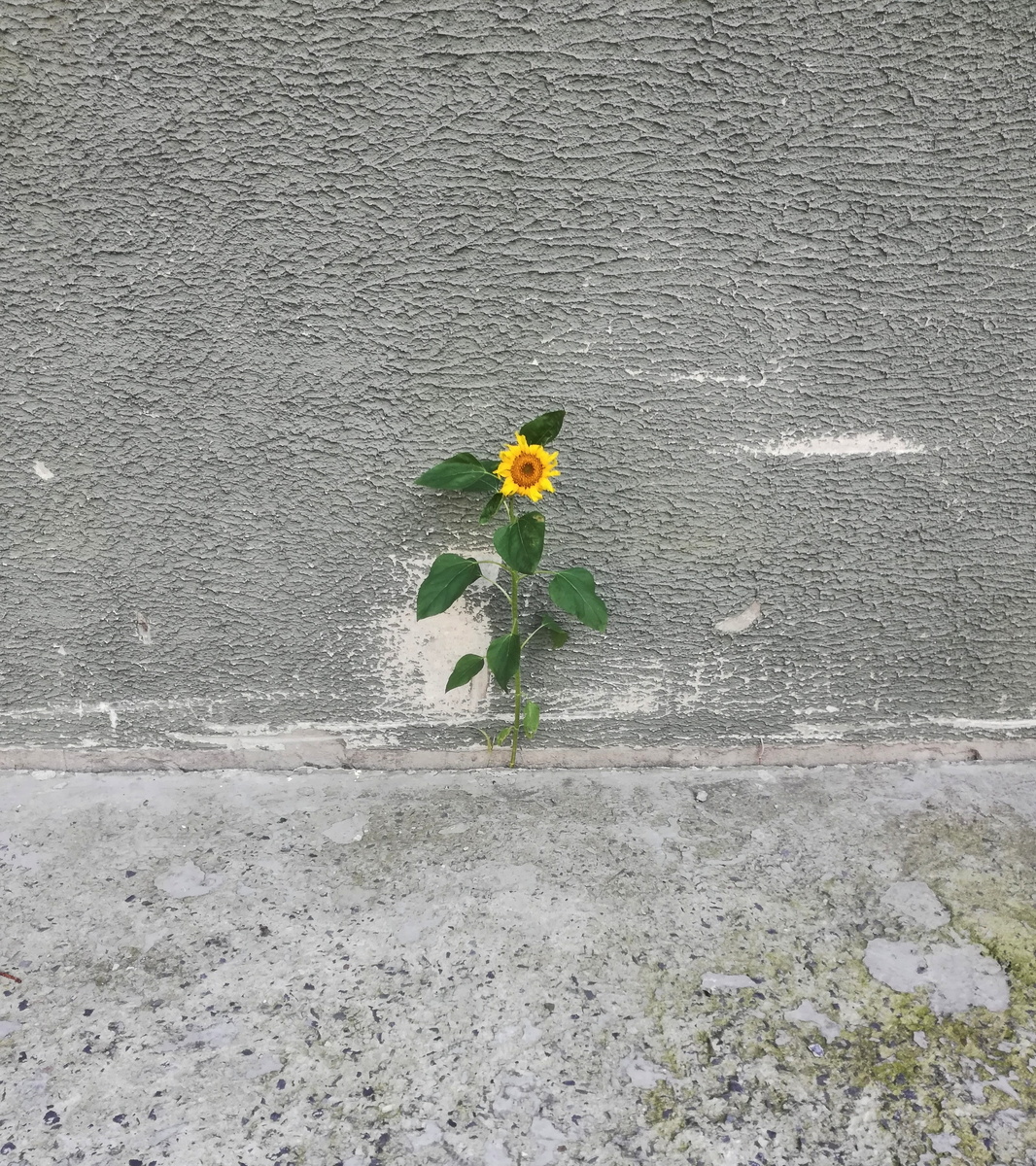 Стихи. Андрей Жданов