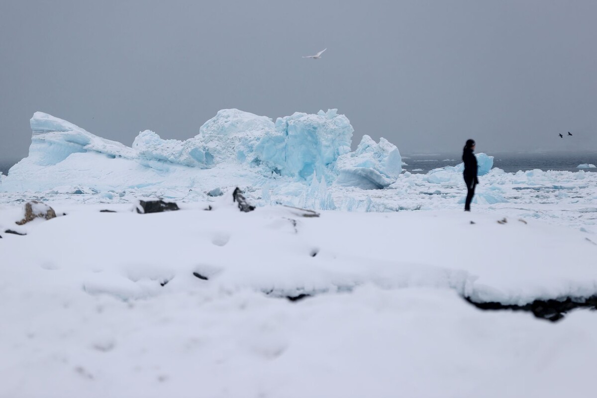     / Источник: © Zhao Dingzhe/XinHua/Global Look Press