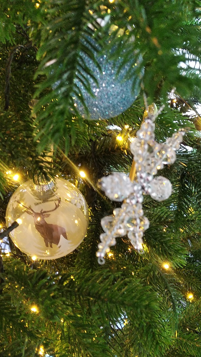 Вот вам оленя