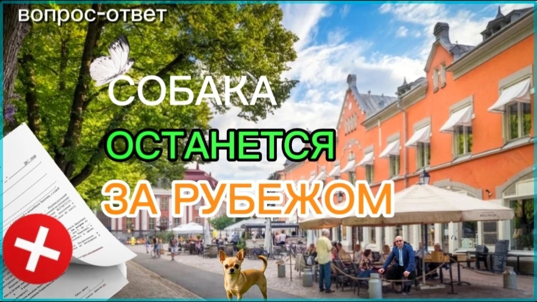 Фото автора канала. 